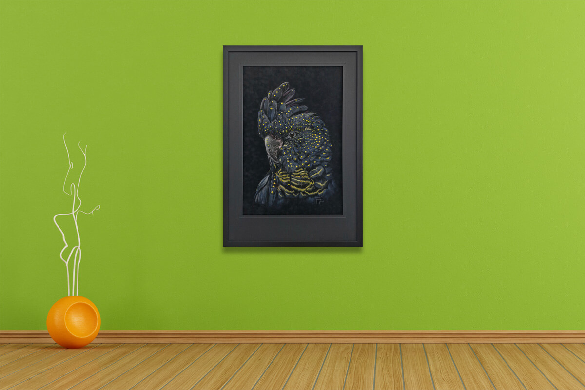 Framed custom pet art Black Cockatoo by Jennie Payne framed in black frame and black matboard