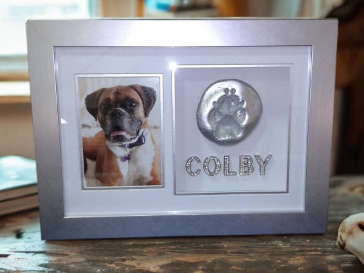 Framed pet memorabilia Colby pet memorabilia framed in silver frame with multi opening matboard