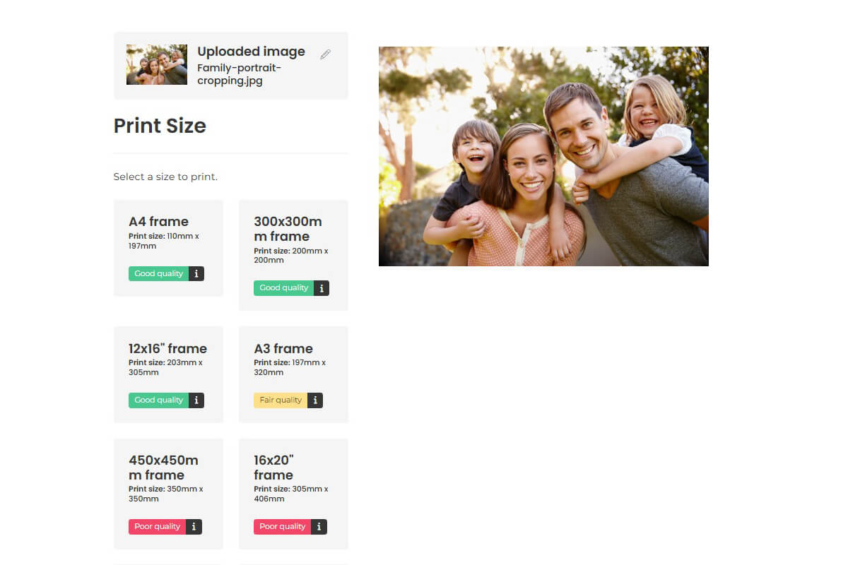 Image resolution print + frame Print & frame image resolution validator