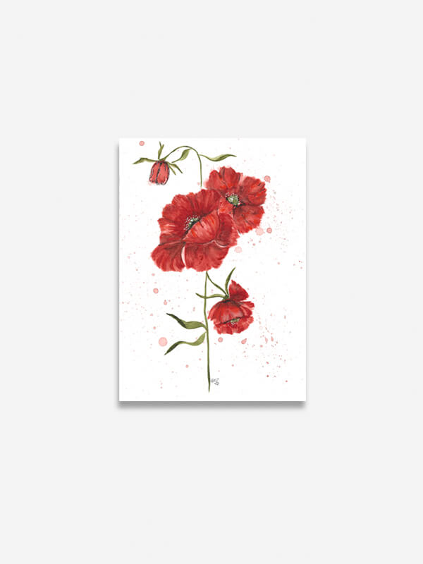Before framing red poppies