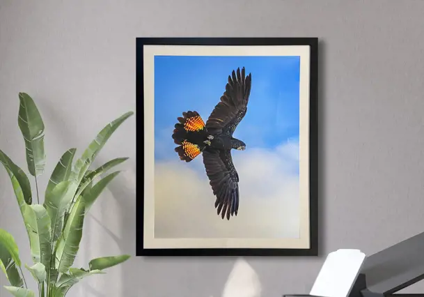 Framing