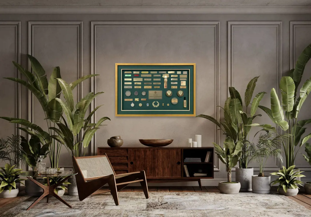 Plaques