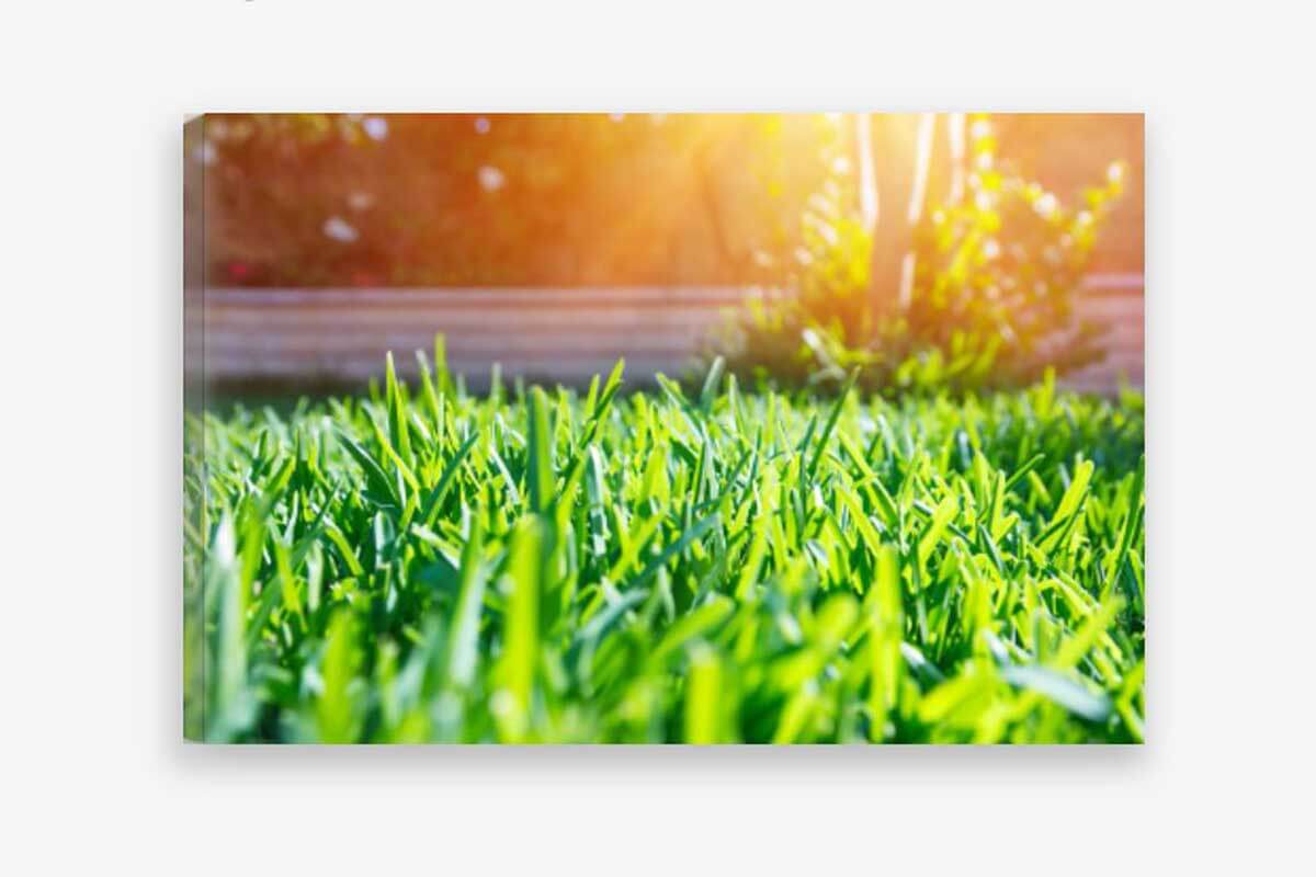 stretched canvas art
